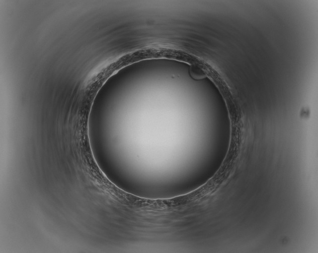 X0000115640919200911101513