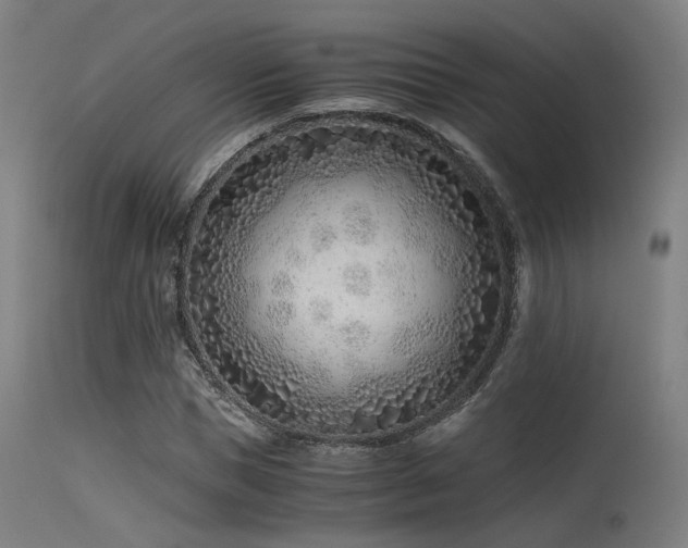 X0000115640921200911101513