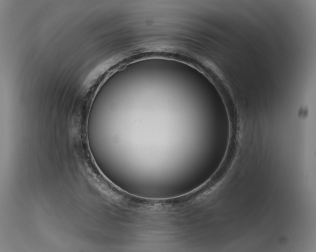 X0000115640922200911101513