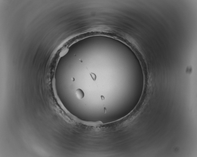 X0000115640923200911101513