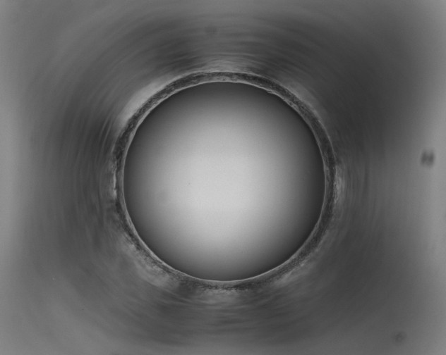 X0000115640925200911101513
