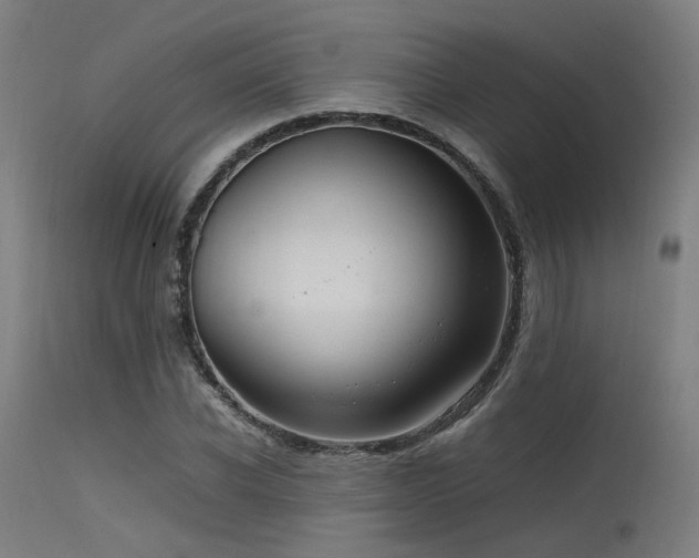 X0000115640926200911101513