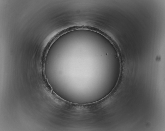 X0000115640927200911101513