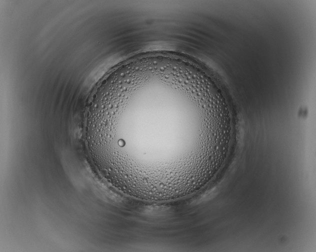 X0000115640929200911101513