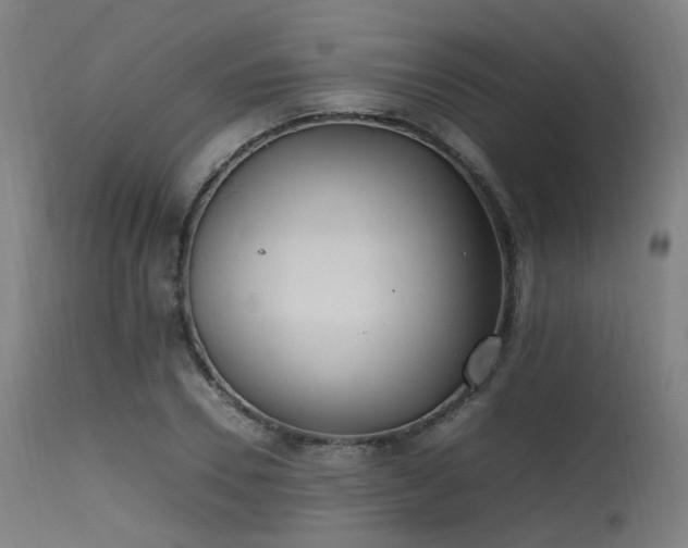 X0000115640930200911101513