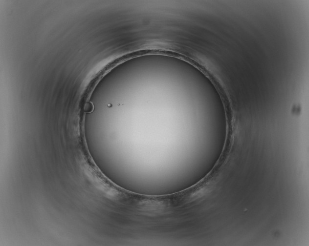 X0000115640931200911101513