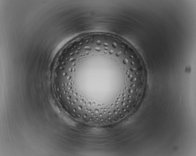 X0000115640933200911101513
