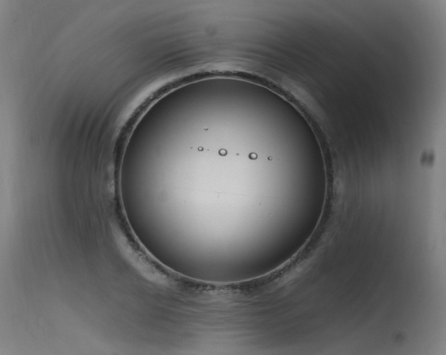 X0000115640934200911101513