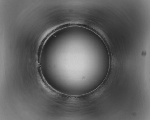 X0000115640935200911101513
