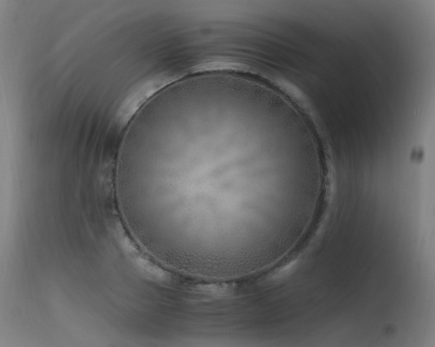 X0000115640937200911101513
