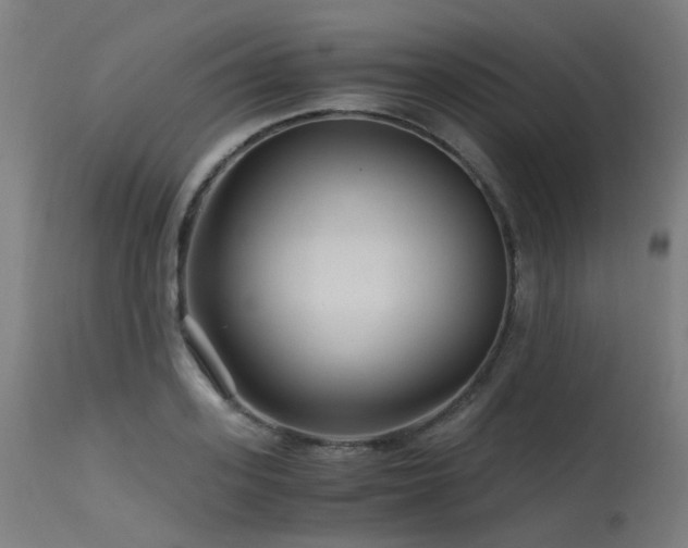 X0000115640939200911101513