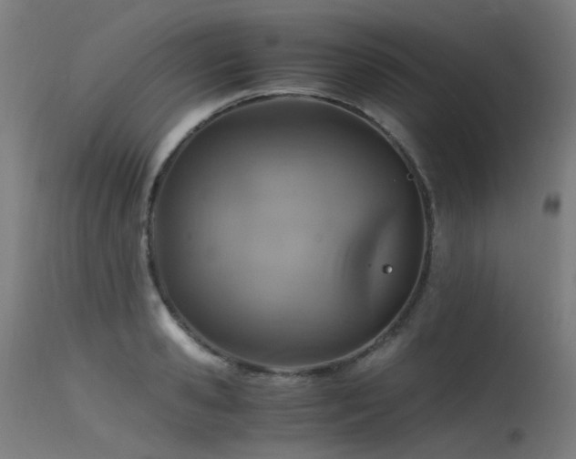 X0000115640941200911101513