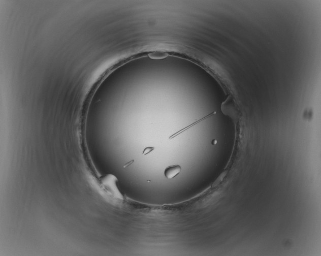 X0000115640942200911101513