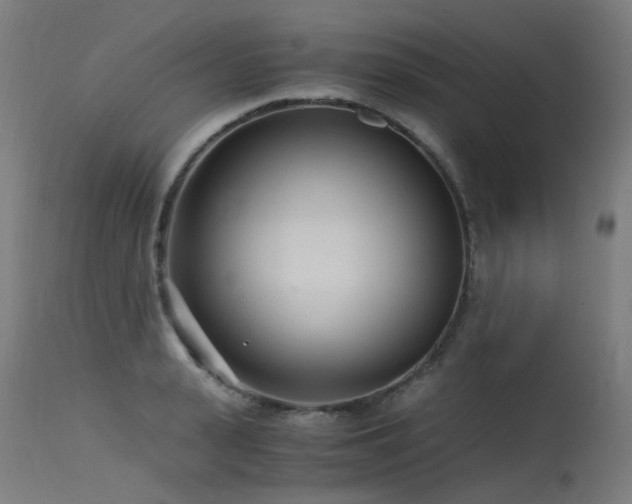 X0000115640943200911101513
