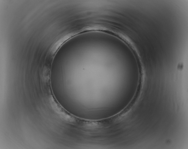X0000115640945200911101513