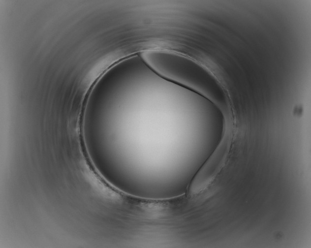 X0000115640946200911101513