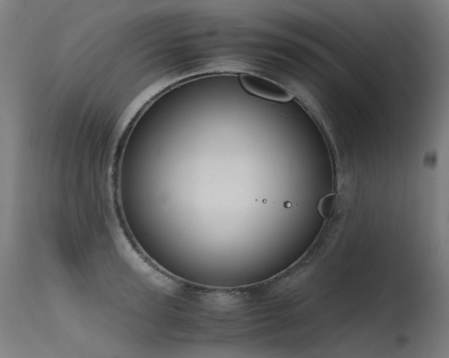 X0000115640947200911101513