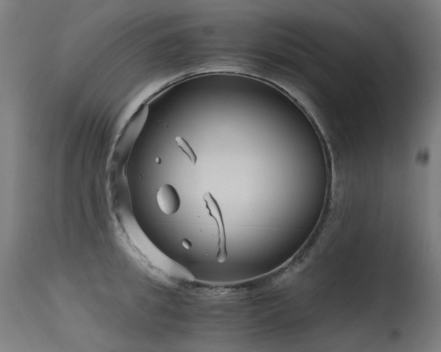 X0000115640949200911101513