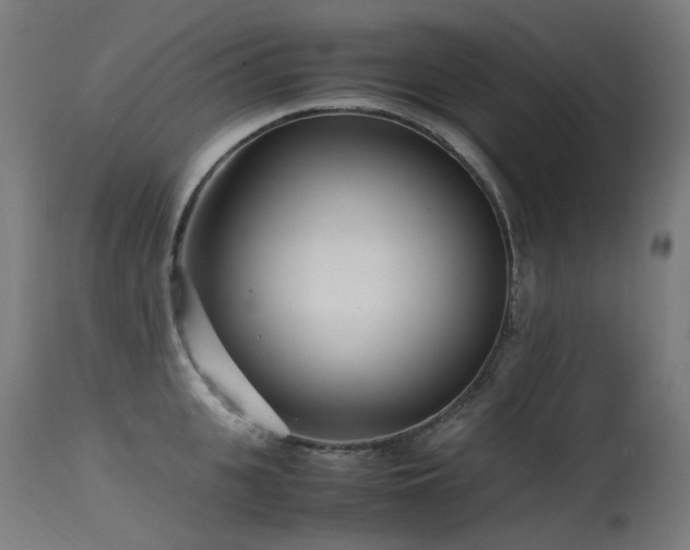 X0000115640951200911101513