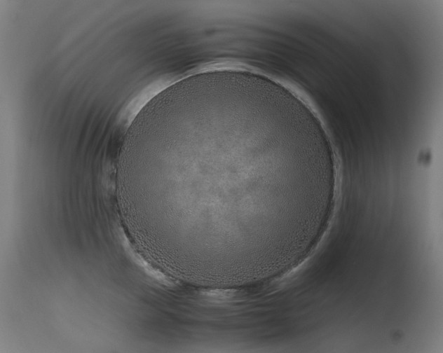 X0000115640953200911101513