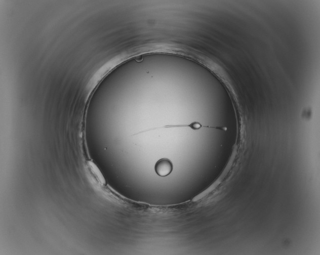 X0000115640954200911101513