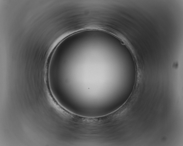 X0000115640955200911101513