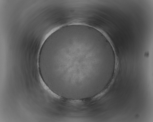 X0000115640957200911101513