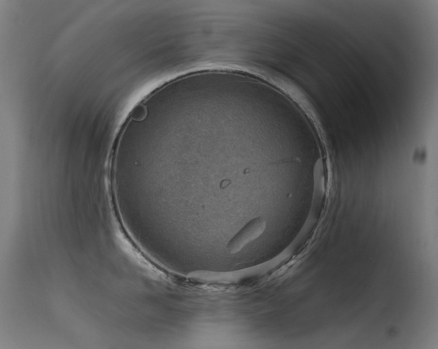 X0000115640958200911101513