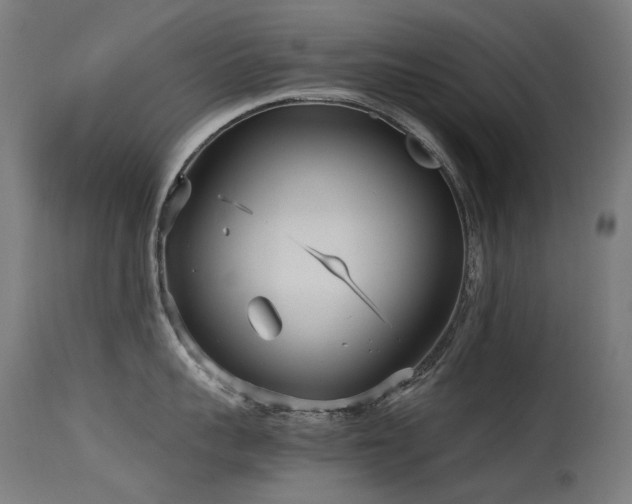 X0000115640959200911101513
