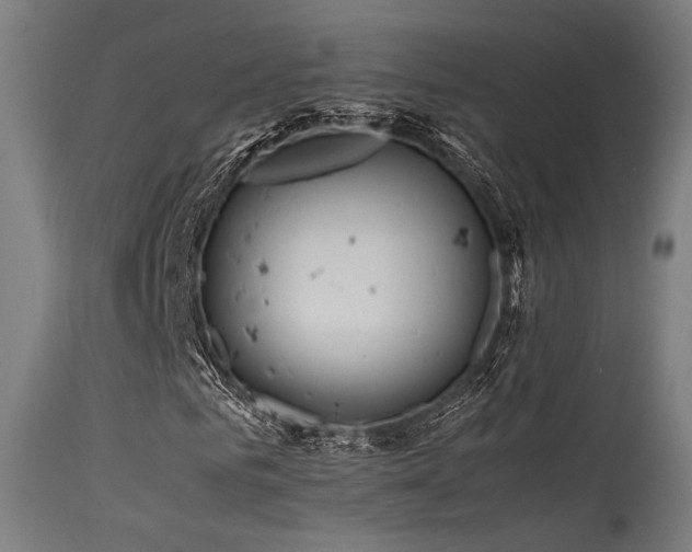 X0000115640961200911101513