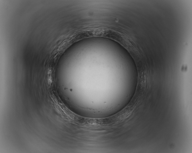 X0000115640962200911101513