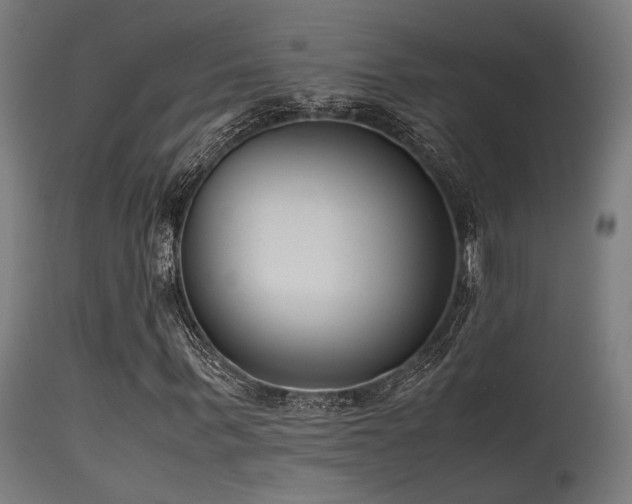 X0000115640963200911101513