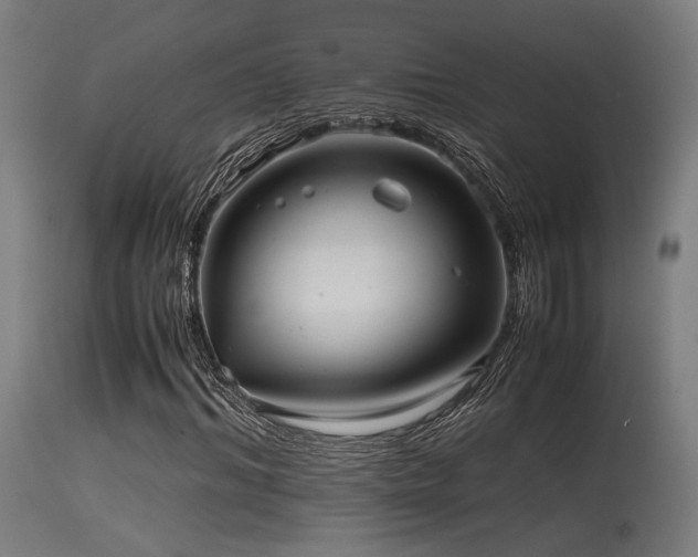 X0000115640964200911101513