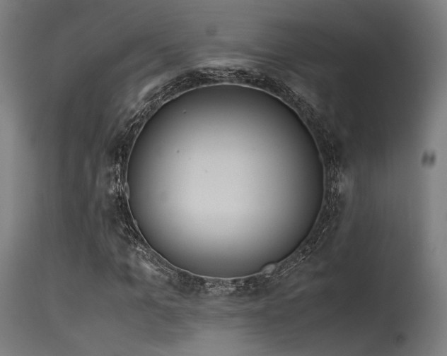 X0000115640965200911101513