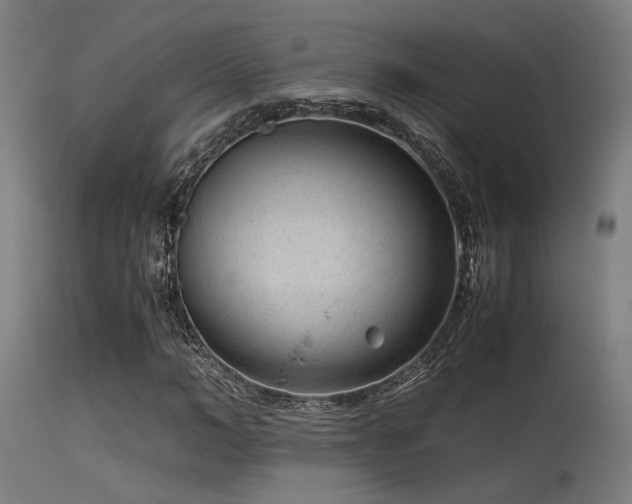 X0000115640966200911101513