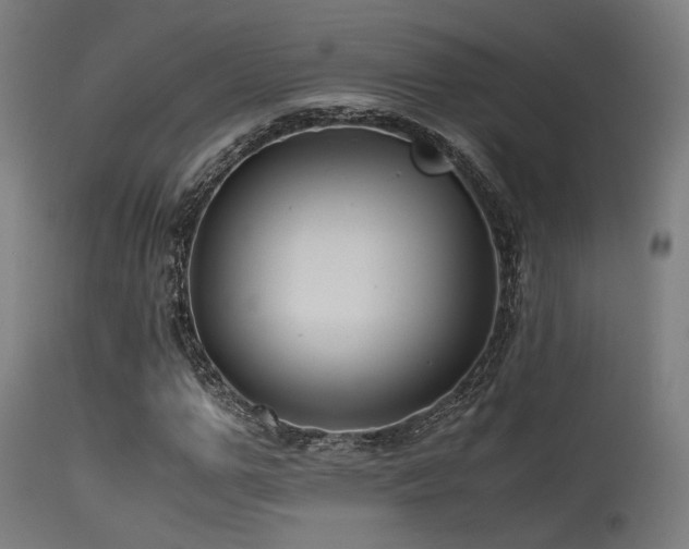 X0000115640967200911101513