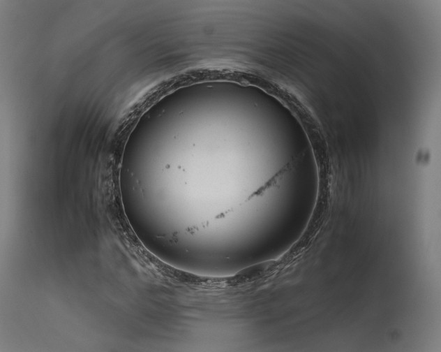 X0000115640968200911101513