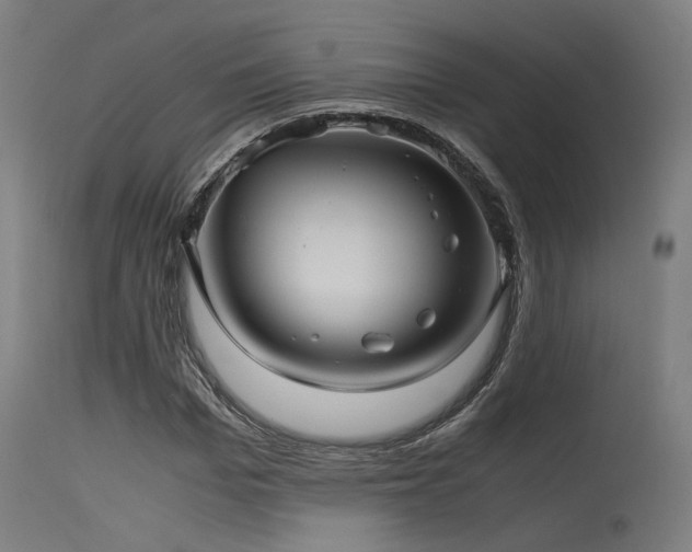 X0000115640969200911101513
