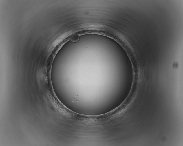 X0000115640970200911101513