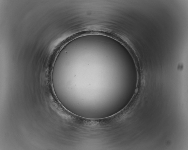 X0000115640971200911101513