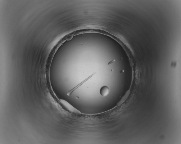 X0000115640972200911101513