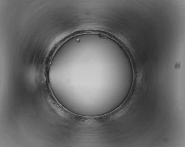 X0000115640974200911101513