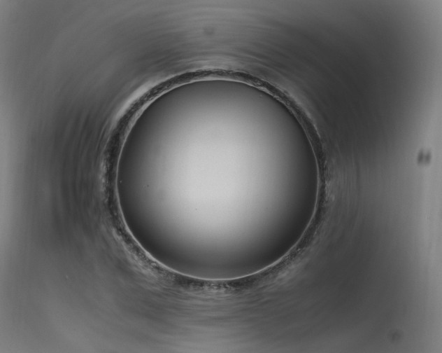 X0000115640975200911101513