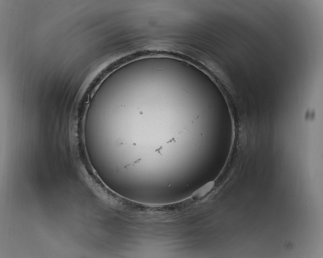 X0000115640976200911101513