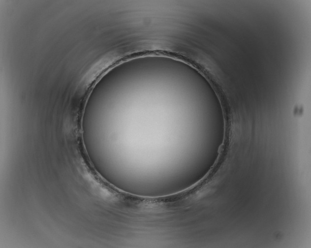 X0000115640977200911101513