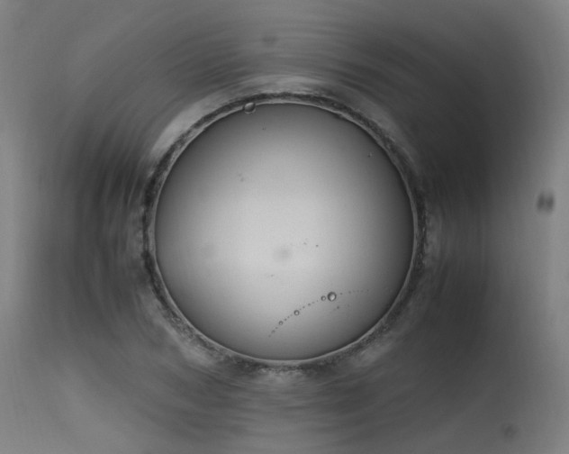 X0000115640978200911101513