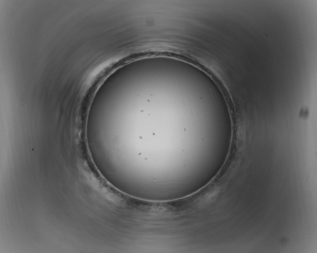 X0000115640979200911101513