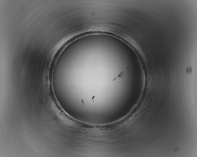 X0000115640980200911101513