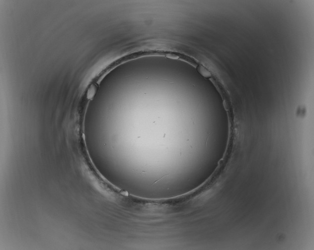 X0000115640981200911101513