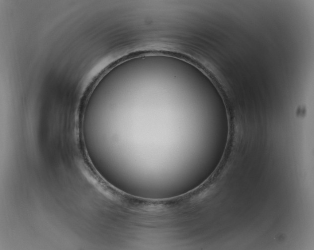 X0000115640982200911101513